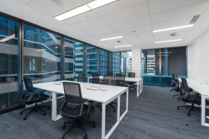 level-5-office